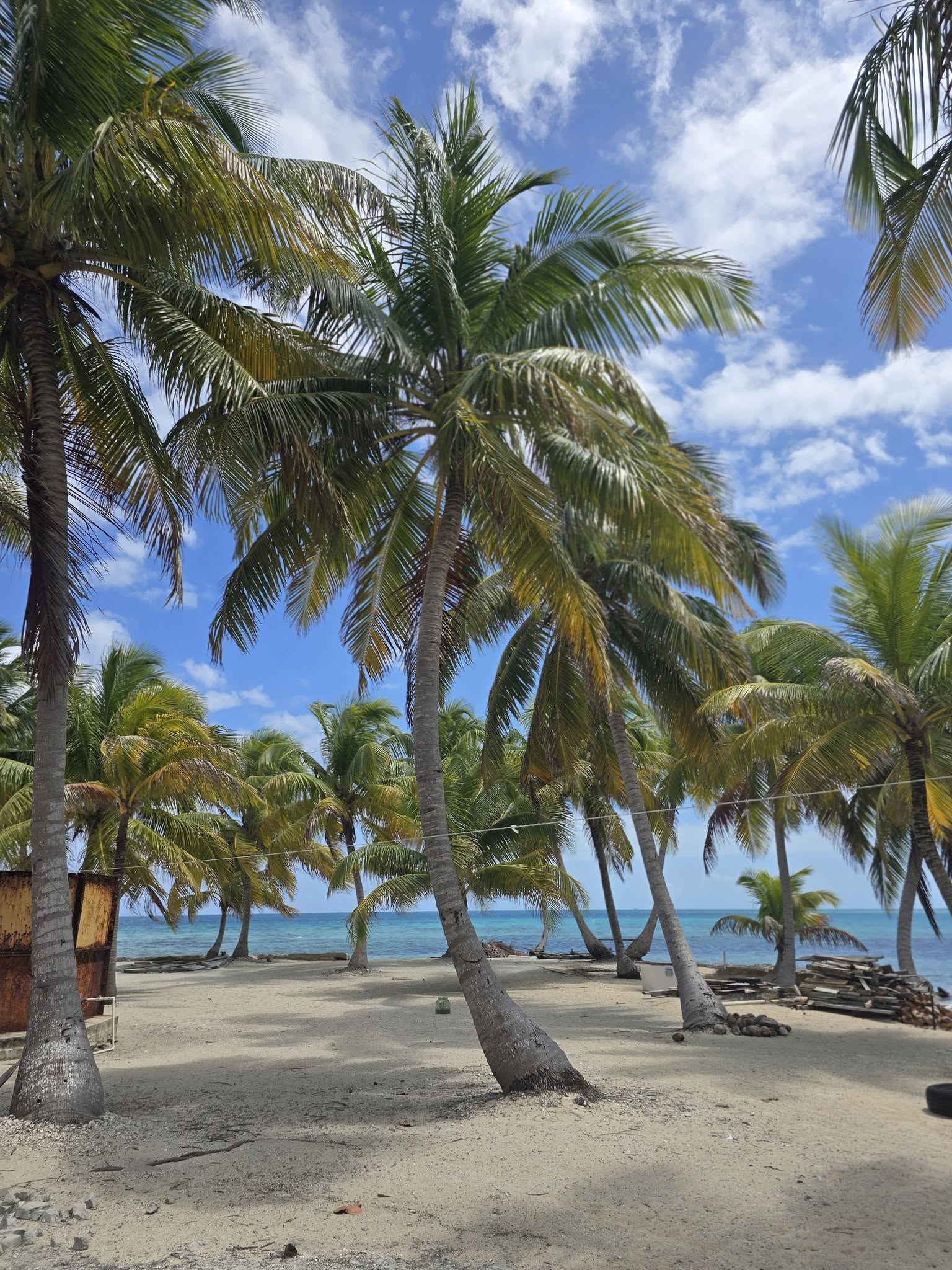 Palms and a sandy beach from Fabian’s photo album